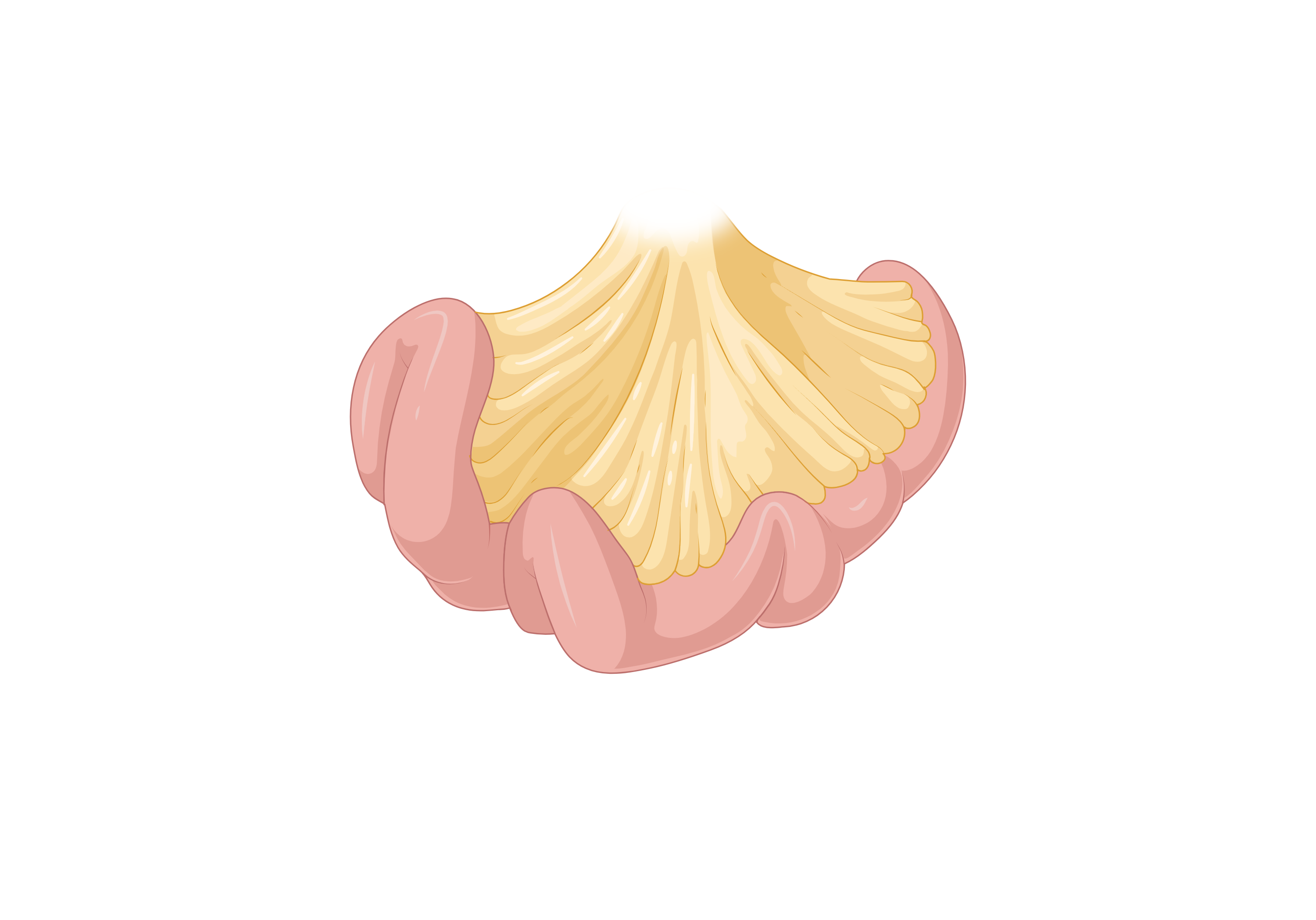 Foliculites  MedicinaNET